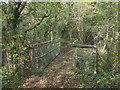 Footbridge over the Afon Cynffig in woodland just north of Kenfig Hill in CF33 6FH