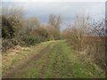Bridleway at Needingworth Gravel Pits in PE27 4TA