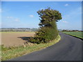 Donkey Street, Romney Marsh and the old cliff line in TN29 0JW
