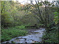 Dewley Burn in Walbottle Dene in NE15 9AW