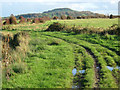 Track on Ford Common, Berrow in TA8 2RW