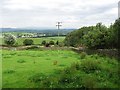 Field, Coxbank Farm in Preston Patrick