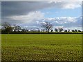 Farmland, Melsonby in DL10 5PG