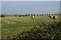 A field of bales in HP18 9HQ