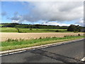 Field of corn, Madderty, Perthshire in PH7 3NW