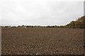 View across the field in OX10 8DG