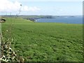 Grassy clifftop, looking along the coast towards Battisborough Island in PL8 1HP