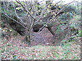 Old drift entrance near Cwm Pandy in SA11 2TU