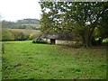 Barn and Trees, Moorbath in DT6 5PX