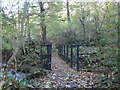 Footbridge over Dewley Burn in Walbottle Dene in NE15 9AW