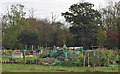 Allotments near Woodham Road in SS11 7HH