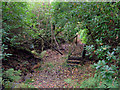 Footbridge over stream, Eridge Park in TN3 9HB