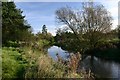 The Little Ouse at Barnham Cross Common in Thetford Burrell Ward