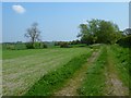 Track and farmland, Grove in OX12 7LS