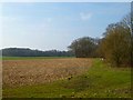 Farmland, Baughurst in RG26 5SW