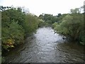 Afon Wysg/ River Usk in NP8 1EN