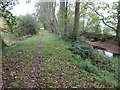 Wey South Path alongside the Wey & Arun Canal in GU6 8LD