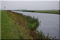 Banks of the Middle Level Main Drain in PE14 8QN