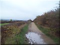 Track Near the Former Markham Colliery in S44 5ED