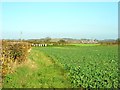 Hedges and fields west of Penniment House Farm in NG17 3BY