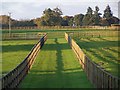Paddock fences and shadows, West Tytherley in SP5 1NT