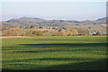 Arable land at Orleton in WR6 6SX