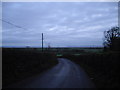 Country lane near Otterhampton in TA5 2PR