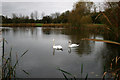 Gloucester Park Lake in Basildon