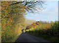 2011 : Autumn on the road to Compton Bassett in SN11 8SA