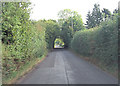 The tunnel in the trees in SP11 0JH