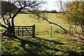 Gate on a footpath near Highwood in WR15 8SR