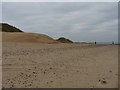 New sand dune at Whiteford Point in SA3 1DL