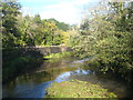 The River Thrushel above Tinhay Bridge in PL16 0AL