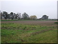 Farmland near Glebe Farm in Barnby Moor