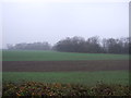 Farmland off Hazelwood Lane in DN22 0RD