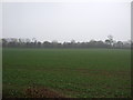 Farmland off Whinleys Road in Clarborough and Welham