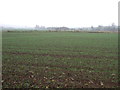 Farmland off Blue Stocking Lane in DN22 9DY