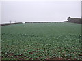 Farmland near North Wheatley in North and South Wheatley