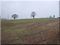 Farmland, Haughgate Hill in DN22 9BD