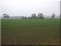 Farmland off the B1403 in DN22 9BB