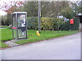 Telephone Box & Low Street Postbox in NR35 1QZ