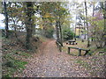 Whitegate Way looking South past the picnic area in CW7 2QE