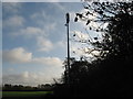 Mobile phone mast adjacent to the A533 in CW9 8LA