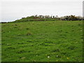 Tumuli above Battern Cliffs in PL11 3BZ