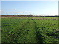 Farm track off Stainton Way in TS8 9LX
