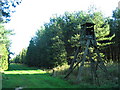 Tower in Cadge Wood in NN17 3EU