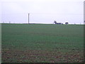 Farmland off Darlton Road in NG22 0JP