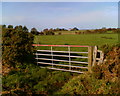 Field Gate and Farmland in CA6 6BU