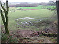 Looking from Retreat Wood in DG7 2PW