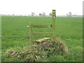 Stile on the footpath to Fennywood Farm in CW7 4EG